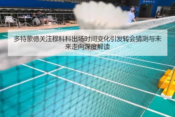 多特蒙德关注穆科科出场时间变化引发转会猜测与未来走向深度解读